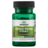 Ginkgo Biloba Extract 30 Kapsula