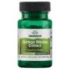 Ginkgo Biloba Extract 30 Kapsula